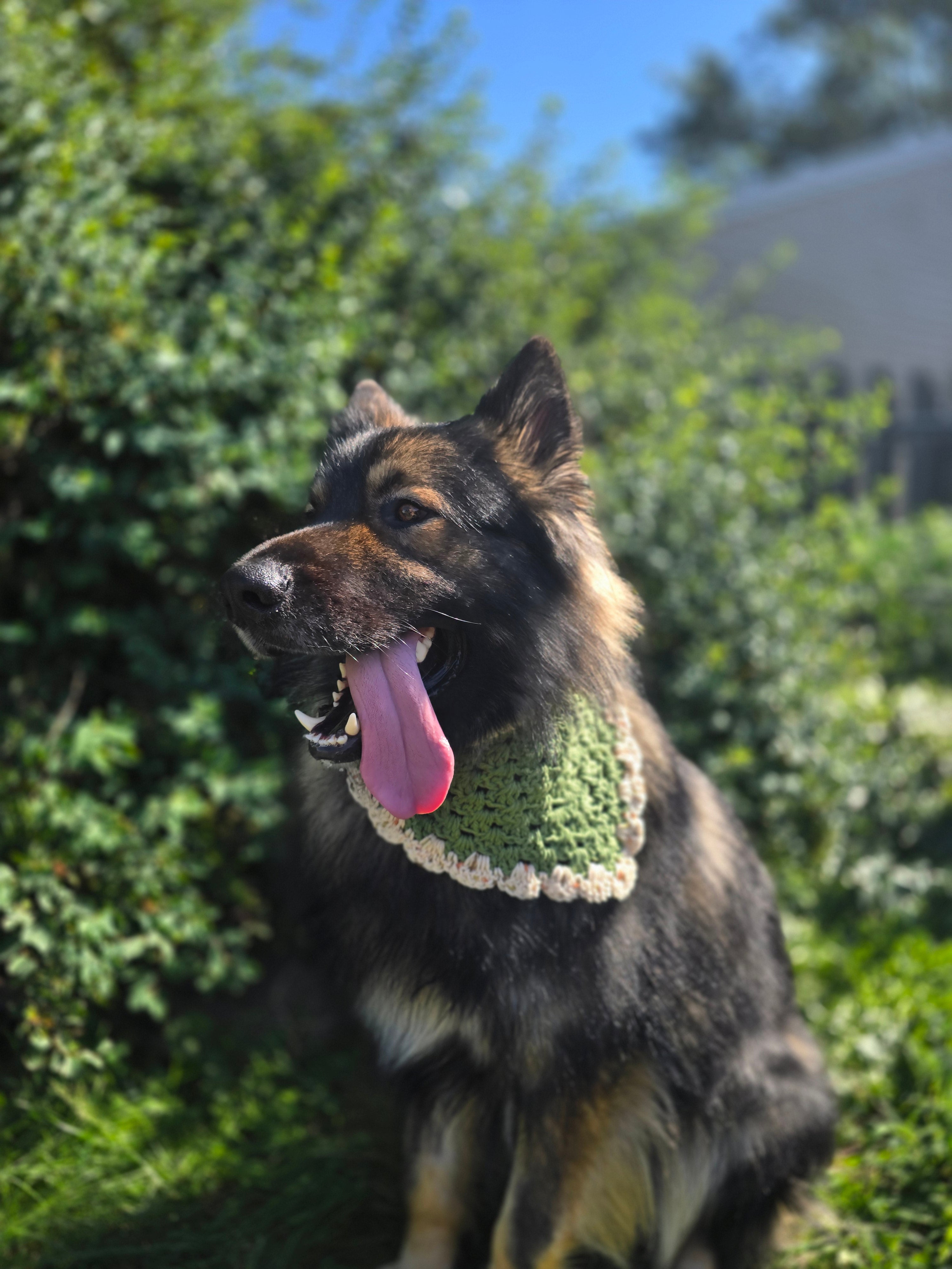 Bandana