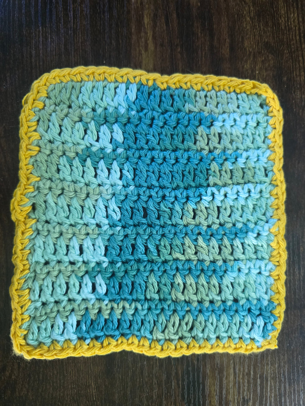 Sea Foam Dishcloth